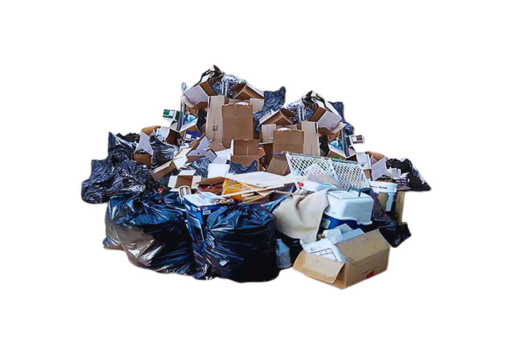 Action Junk Removal - Junk Image Action Junk Removal - Junk Image